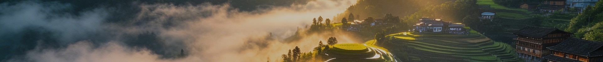 头部背景